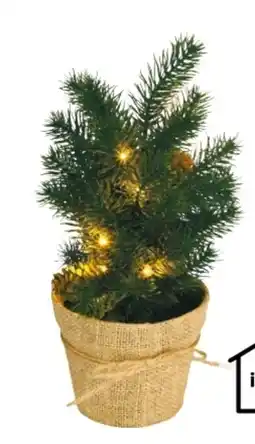 Rossmann LED-Baum Angebot