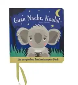 Rossmann Rossmann Ideenwelt Taschenlampenbuch Angebot