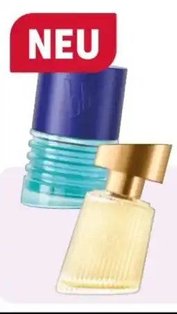 Rossmann Bruno Banani Not for Everybody Man EdP Angebot