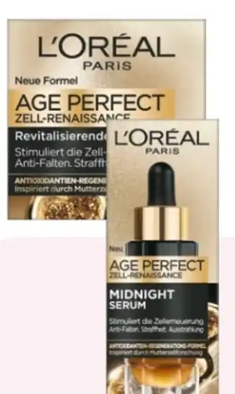 Rossmann L'Oréal Paris Age Perfect Zell Renaissance Tagespflege Angebot