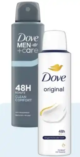 Rossmann Dove Deospray Angebot
