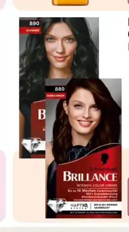 Rossmann Schwarzkopf Brillance Coloration Angebot