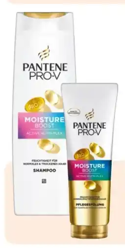Rossmann Pantene Pro-V Shampoo Angebot