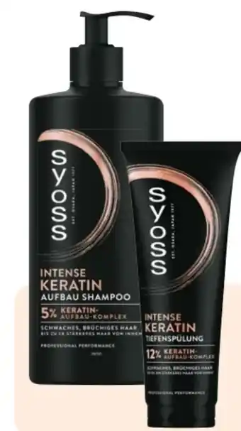 Rossmann Schwarzkopf Syoss Shampoo Angebot