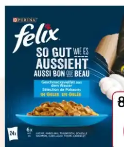 Rossmann Purina Felix Katzennassfutter Angebot