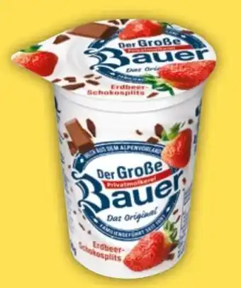 NETTO Bauer Der Große Erdbeere Angebot