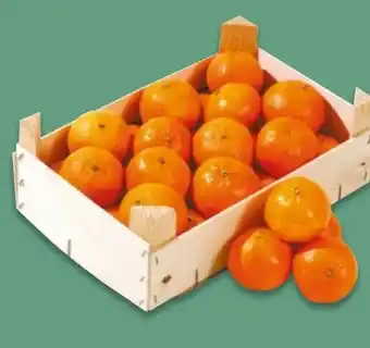 NETTO Clementine Angebot