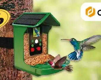 NETTO Denver Solar-Vogelfutter-Station BFC-1200 Angebot