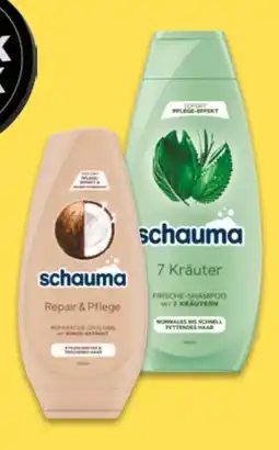 NETTO Schwarzkopf Schauma Shampoo Angebot