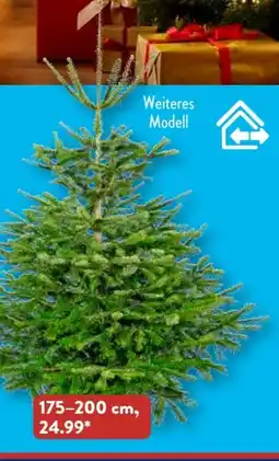 Aldi Süd Gardenline Nordmanntanne Angebot