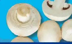 Aldi Süd Champignons Angebot