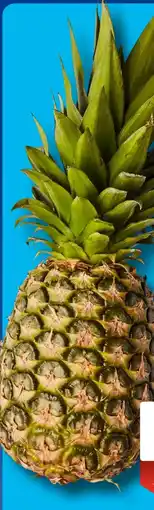 Aldi Süd Ananas Angebot