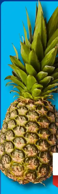 Aldi Süd Ananas Angebot