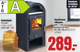 B1 Discount Baumarkt Kaminofen Magna Angebot