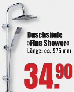 B1 Discount Baumarkt Duschsäule Fine Shower Angebot