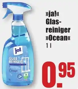 B1 Discount Baumarkt ja! Glasreiniger Ocean Angebot