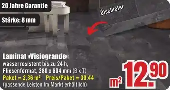 B1 Discount Baumarkt Laminat Visiogrande Angebot