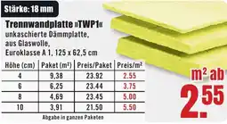 B1 Discount Baumarkt Trennwandplatte TWP1 Angebot