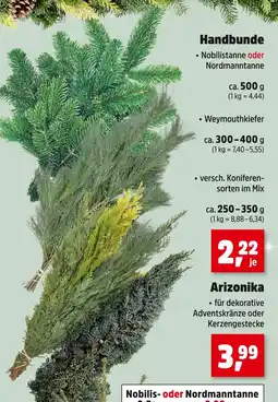 Thomas Philipps Handbunde nobilistanne Angebot