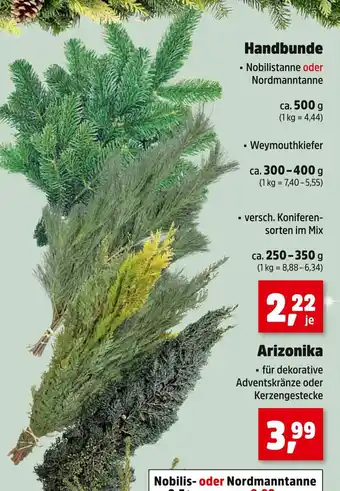 Thomas Philipps Handbunde nobilistanne Angebot