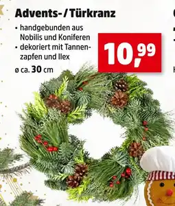 Thomas Philipps Advents-/türkranz Angebot