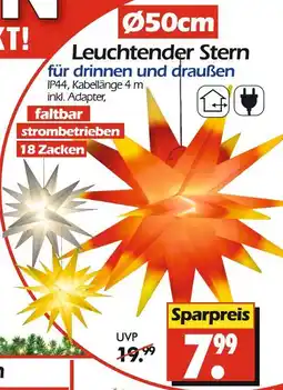 Wreesmann Leuchtender stern Angebot