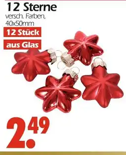 Wreesmann 12 sterne Angebot