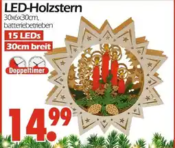 Wreesmann Led-holzstern Angebot