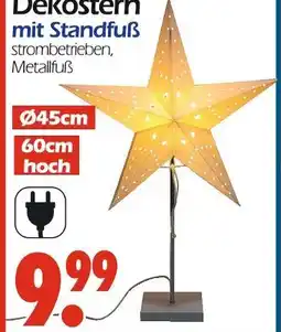 Wreesmann Dekostern mit standfuß Angebot