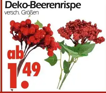 Wreesmann Deko-beerenrispe Angebot
