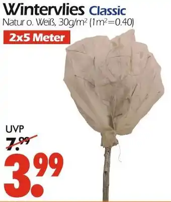 Wreesmann Wintervlies classic Angebot