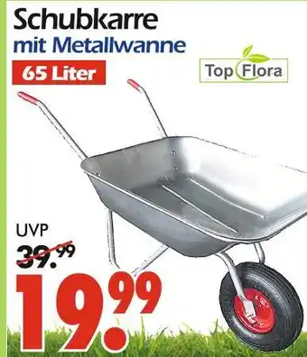Wreesmann Top flora schubkarre mit metallwanne Angebot