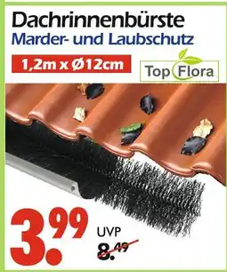 Wreesmann Top flora dachrinnenbürste Angebot