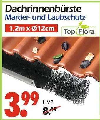 Wreesmann Top flora dachrinnenbürste Angebot