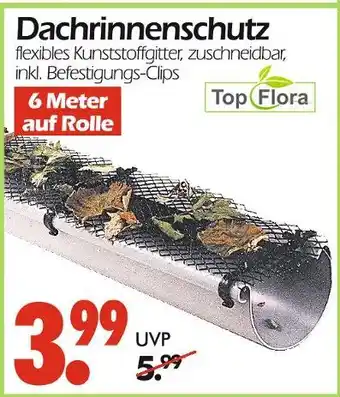 Wreesmann Top flora dachrinnenschutz Angebot