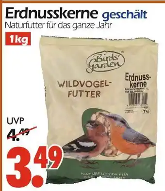 Wreesmann Bird's garden erdnusskerne geschält Angebot