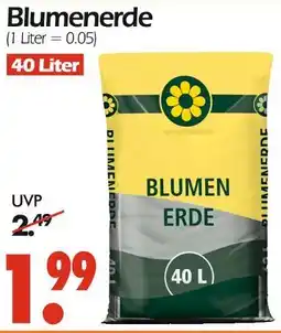 Wreesmann Blumenerde Angebot