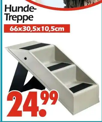 Wreesmann Hundetreppe Angebot
