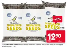 Rusta Sonnenblumenkerne Angebot