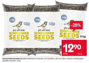Rusta Sonnenblumenkerne Angebot