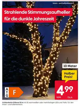 Rusta Lichterkette glänsa Angebot