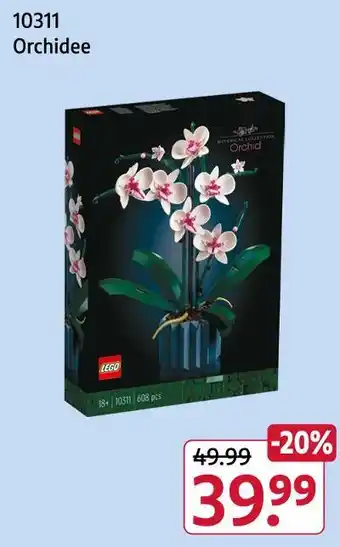 Rossmann Lego orchidee Angebot