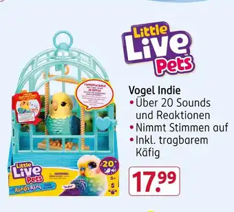 Rossmann Little live pets vogel indie Angebot