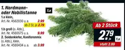 toom Baumarkt Nordmann- oder nobilistanne Angebot