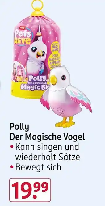 Rossmann Pets alive polly der magische vogel Angebot