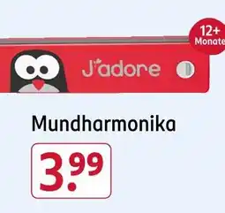 Rossmann Mundharmonika Angebot