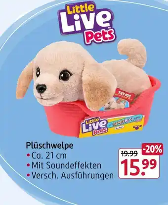 Rossmann Little live pets plüschwelpe Angebot