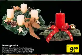Hagebau Adventsgesteck Angebot