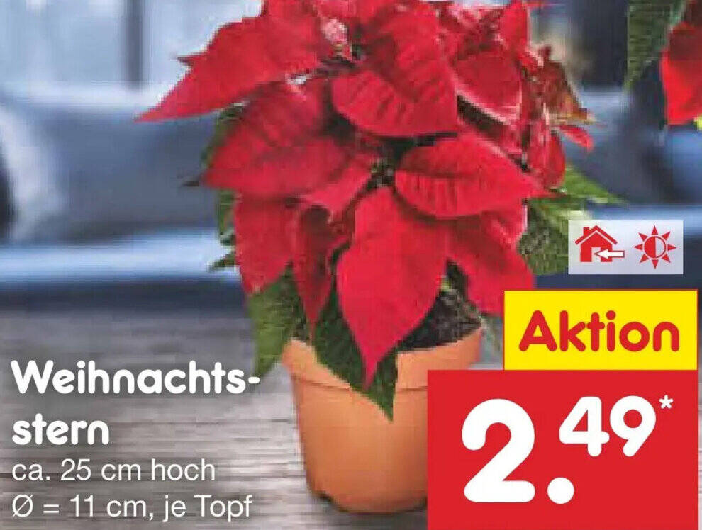 rankhilfe zimmerpflanze kaufen Rankhilfe Abstrakt aus Metall mit Rostpatina Rankgitter modern – Amari-Arts  Online Shop main image 0