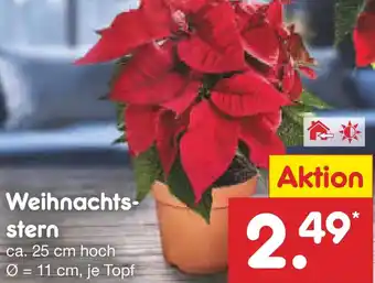 Netto Marken-Discount Weihnachtsstern Angebot